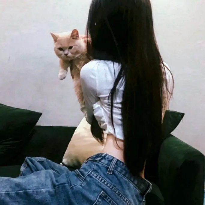 金牌律师之生死劫