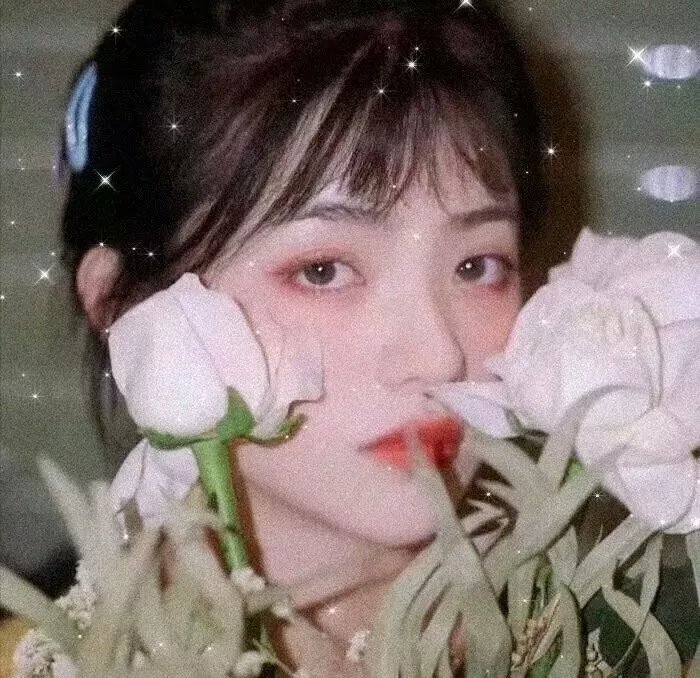 海蜇