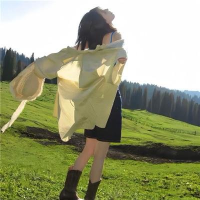 机甲界